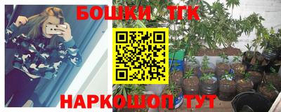 apvp Нальчик