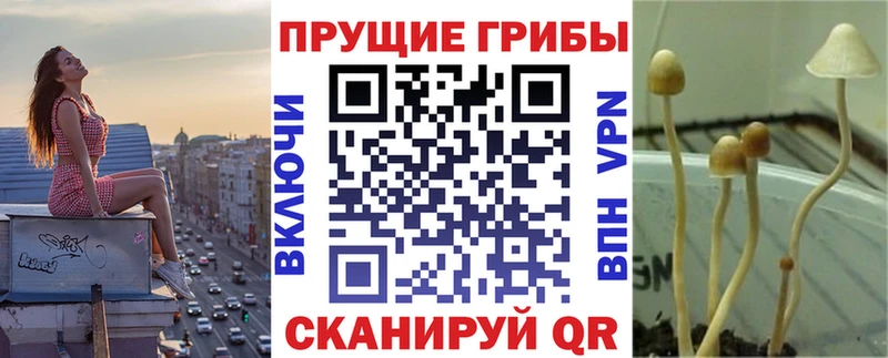 Галлюциногенные грибы мицелий нарко площадка наркотические препараты Химки